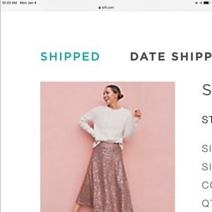 Sequined midi skirt